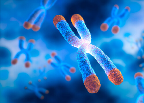  Espetacular: A enzima que prolonga a vida.